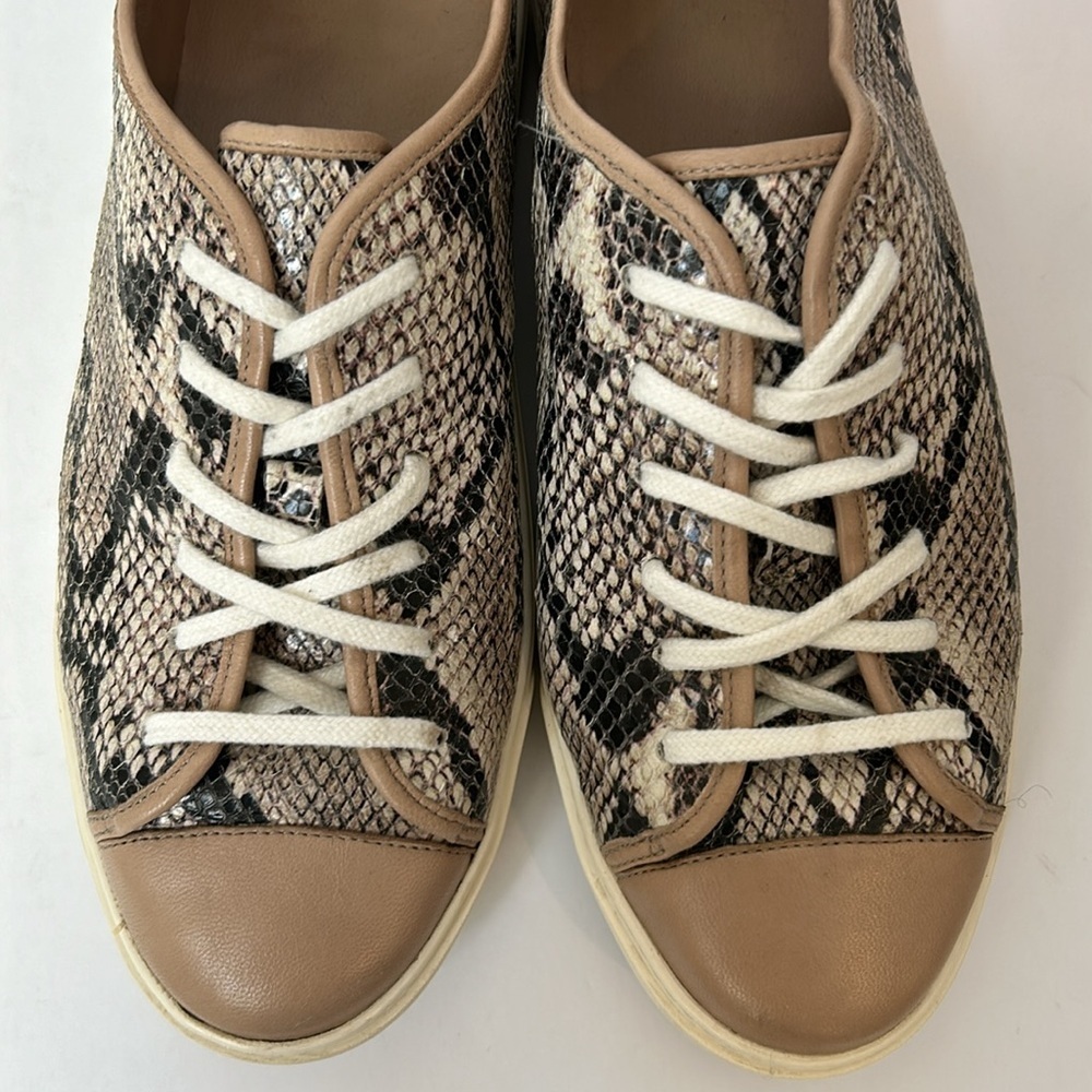 Cole Haan Hendrix Snake Print Laceup Sneakers Leather Animal Print Size 8 - Picture 9 of 13
